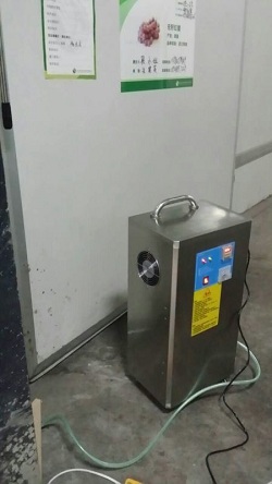 水果冻库专用臭氧发生器